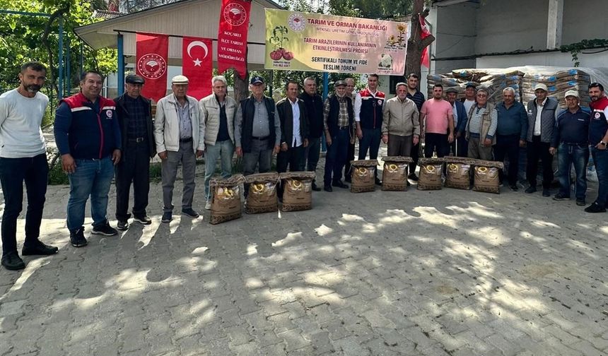 3 bin kilo ayçiçeği tohumu üreticilere dağıtıldı