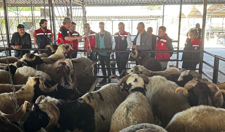 Aydın’da kurbanlık satış noktalarında kontrol yapıldı