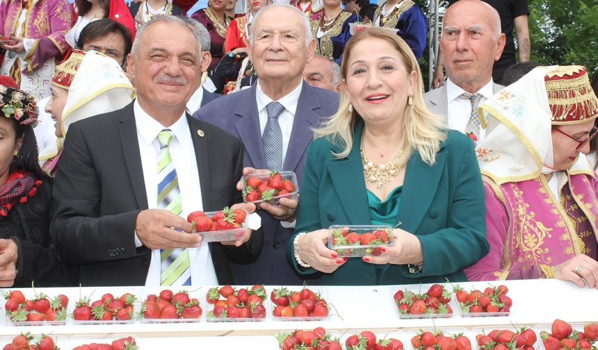 Sultanhisar’da Çilek Festivali başlıyor