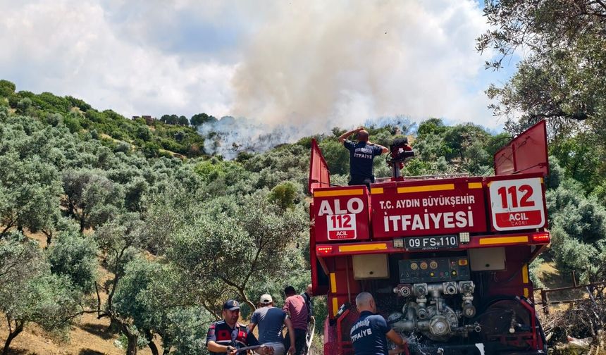 Yenipazar’daki makilik yangını kontrol altına alındı