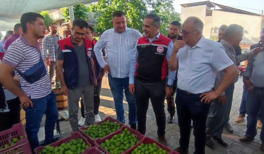 Aydın'da ilek pazarı denetimleri aralıksız sürüyor