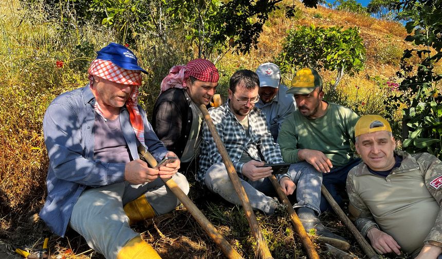 Tarlada mesaiye milli maç arası