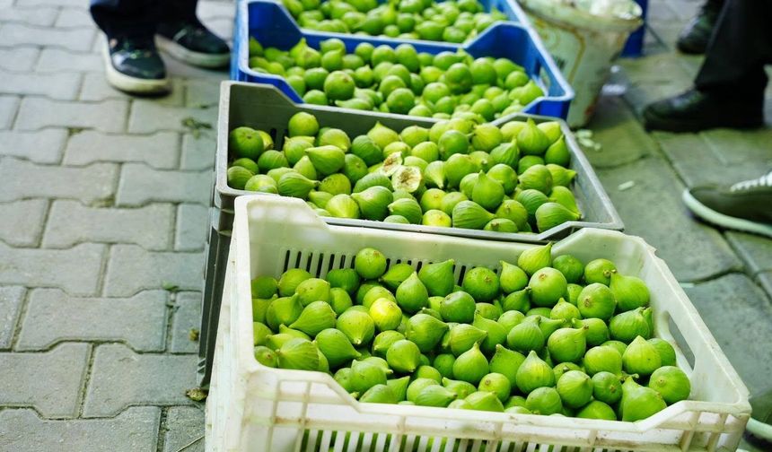 Aydın’da ilek pazarında fiyatlar her saat değişiyor