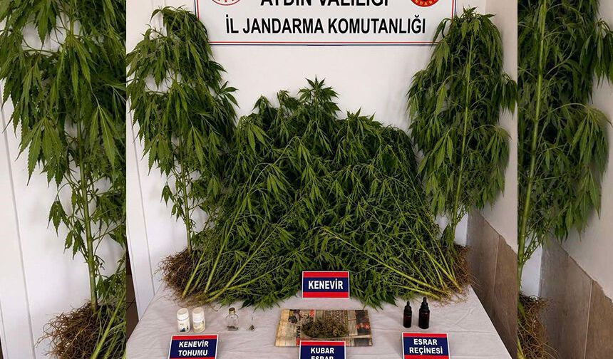 Nazilli’deki operasyonda yakalandı