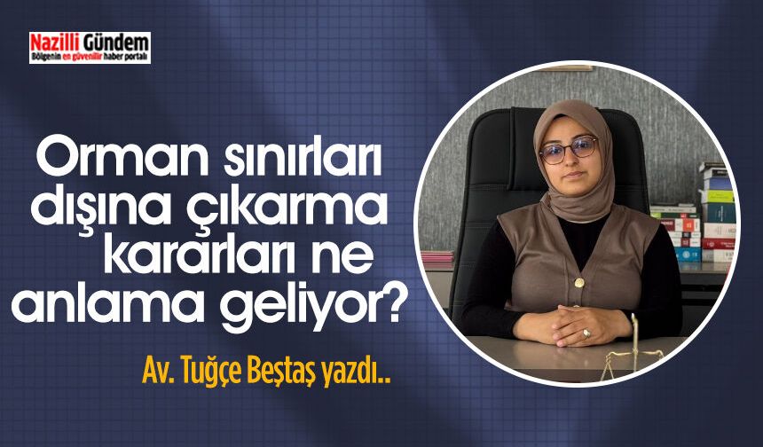 Orman sınırları dışına çıkarma kararları ne anlama geliyor?