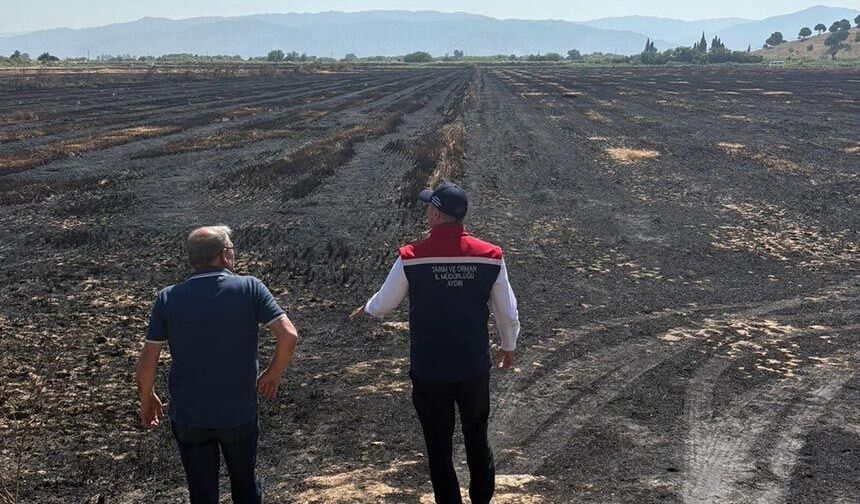 Yangından zarar gören tarım arazileri incelendi