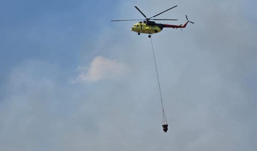Nazilli'de korkutan yangın