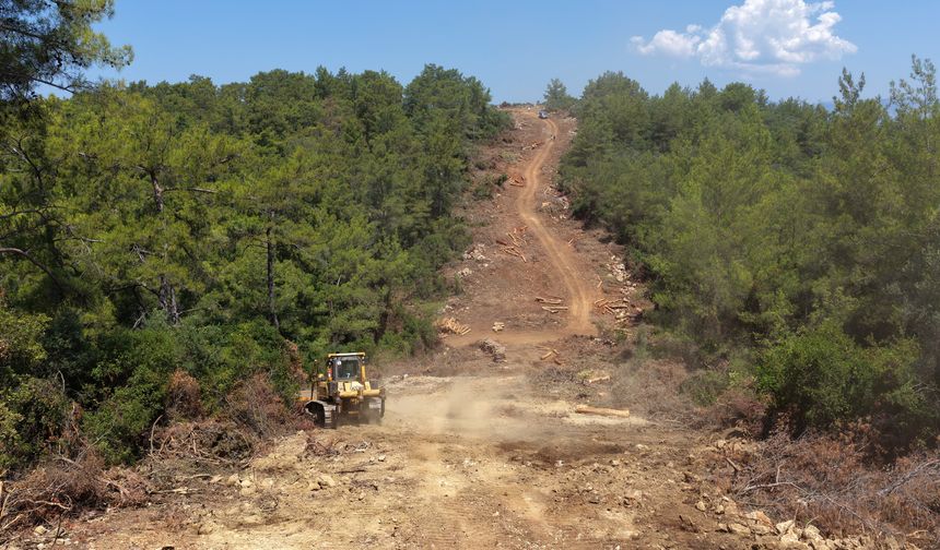 Muğla ve Aydın'da Orman yangın şerit yolu uzunluğu 2 bin kilometreye çıkıyor