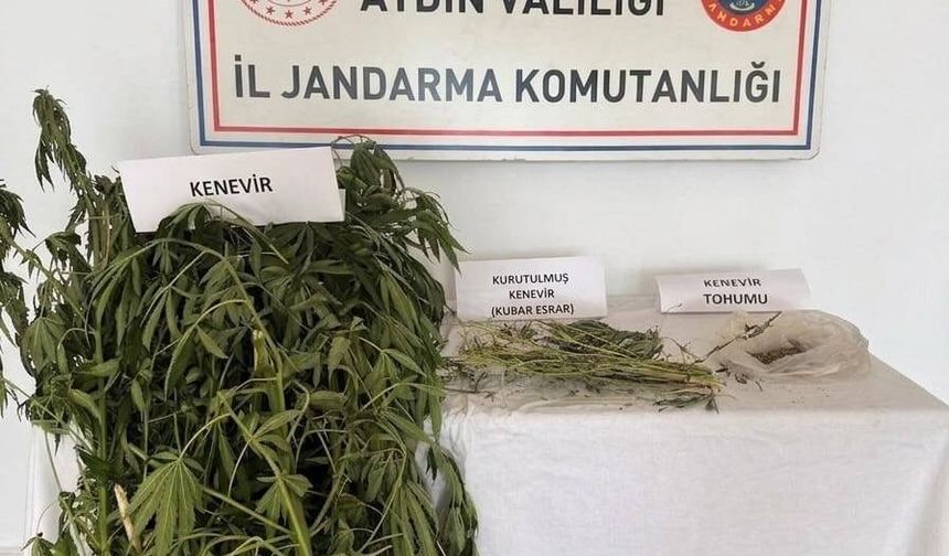 Operasyonda yakalandılar