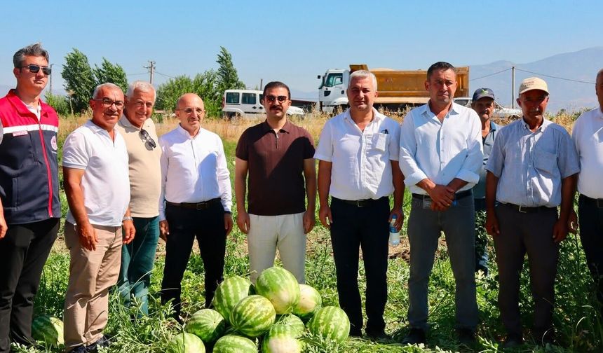 Cincin karpuzunda ilk hasat heyecanı yaşandı