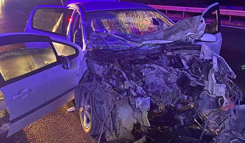 Aydın-İzmir Otoyolu'nda trafik kazası.. 1 kişi hayatını kaybetti