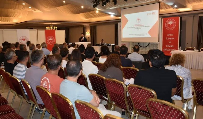 Aydın'da hastalıktan ari işletme sayısı 86'ya yükseldi