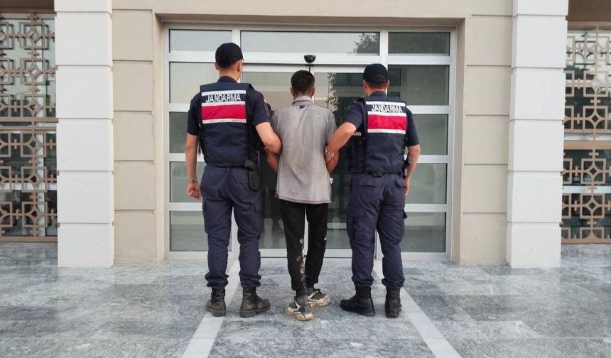 İncir hırsızlığına suçüstü