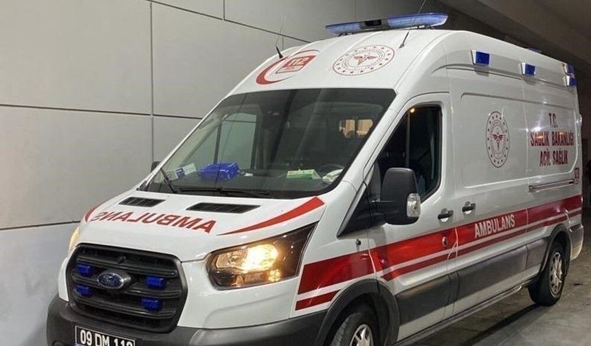 Tesadüfen bahçeye çıkan baba oğlunun cansız bedenini buldu