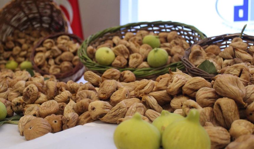 Aydın'da sezonun ilk kuru inciri 850 liradan satıldı