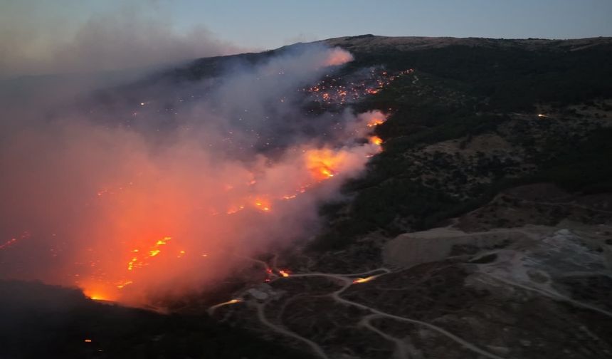 Çine'deki orman yangınında yaralanan şahıs hayatını kaybetti