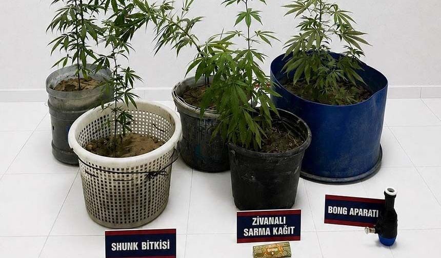 Operasyonda 3 şüpheli gözaltına alındı