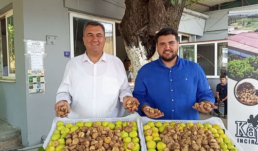 Gedikaltı'nda yeni incir sezonu sembolik alım töreniyle başladı