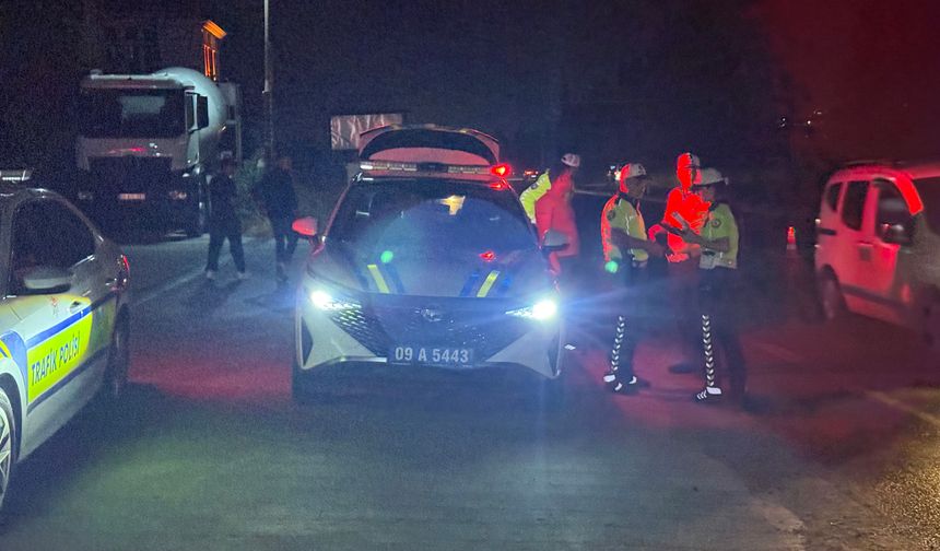 Domuza çarpmamak için manevra yaptı, takla attı