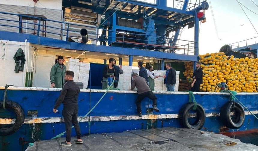 Hamsi kotası denetimleri sürüyor