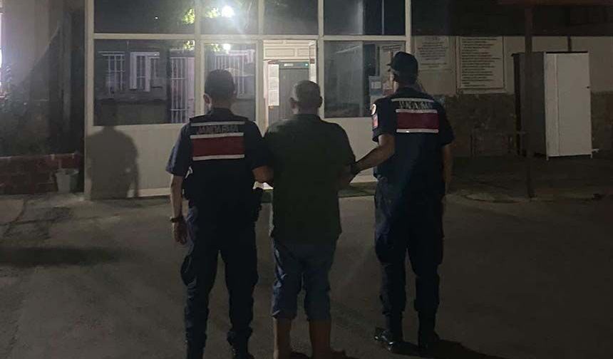 Kuyucak'ta ormanlık alanda kenevir yetiştiren şüpheli suçüstü yakalandı