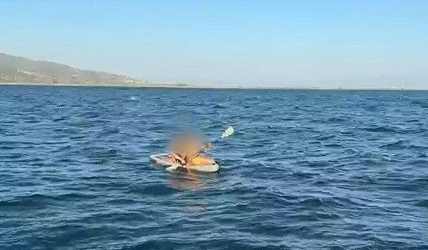 Aydın'da kürek sörfü yapan 2 kişi dehşeti yaşadı: Sahil Güvenlik zamanla yarıştı