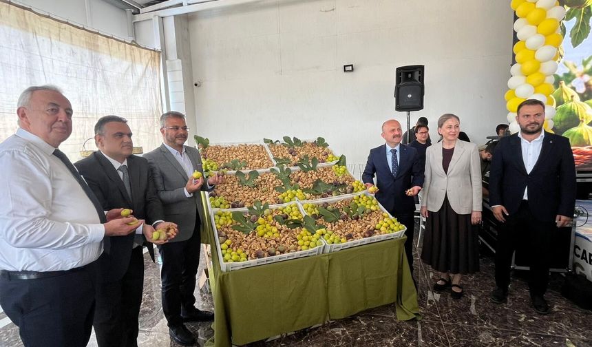 Nazilli inciri bin liraya satıldı