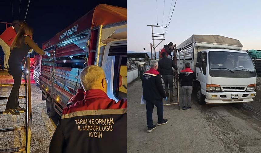Aydın'da hayvan pazarında sıkı denetim