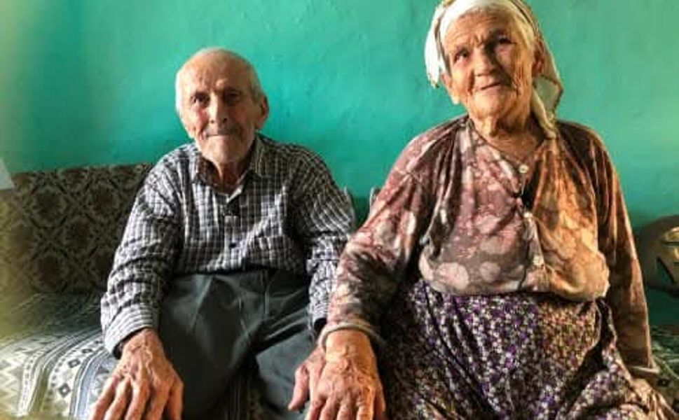 Nazilli’de asırlık çınar yaşama veda etti