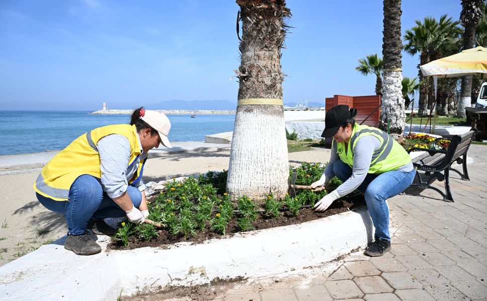 Aydın Büyükşehir Belediyesi'nden Kuşadası'na bahar dokunuşu