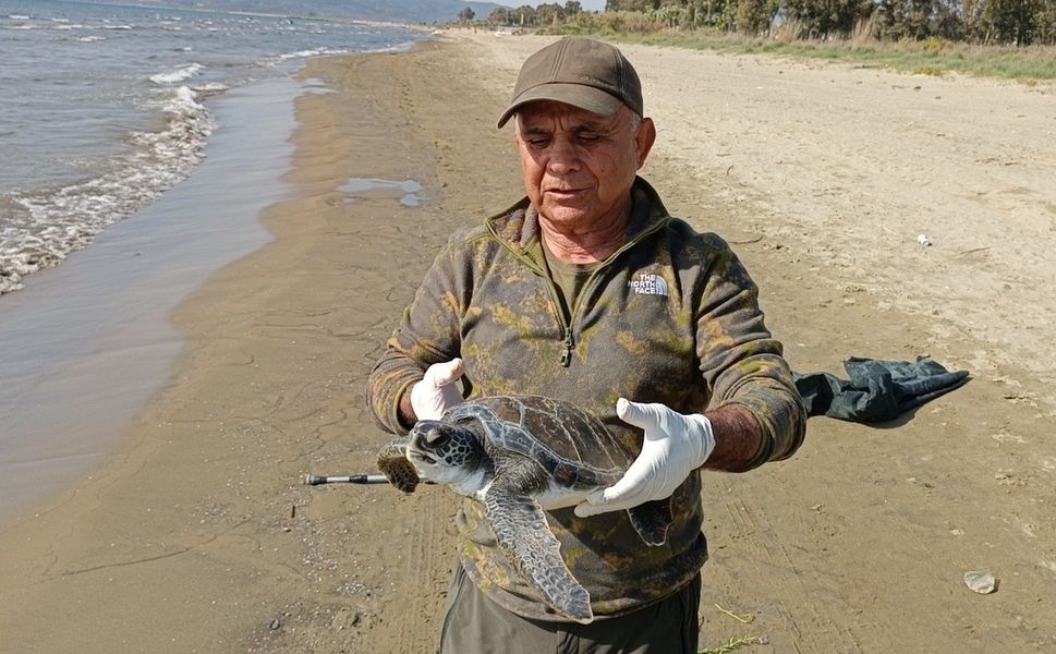 Balıkçı ağlarına takılan deniz kaplumbağası tekrar denize bırakıldı