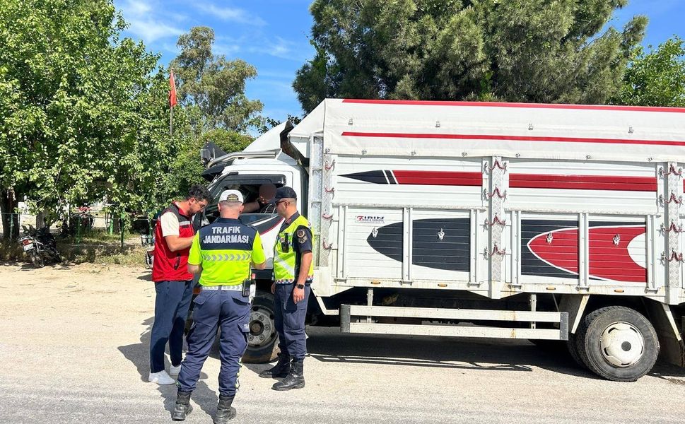 Eksik evrakla canlı hayvan taşıyan 2 kişi cezadan kaçamadı