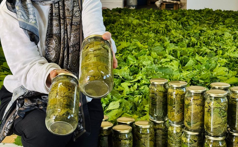 15 Kiloyla Başladı, 20 Tonla Devam Ediyor: Sevgül Batur Rekora Koşuyor