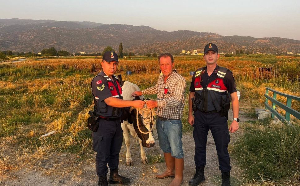 Çalınan hayvanı jandarma bularak sahibine teslim etti