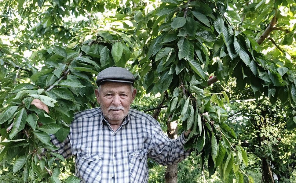Ege bu yıl meyveye hasret