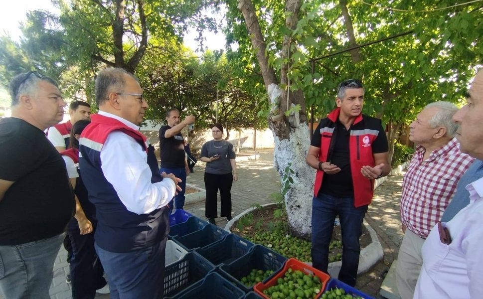 İlek tezgahları denetlendi