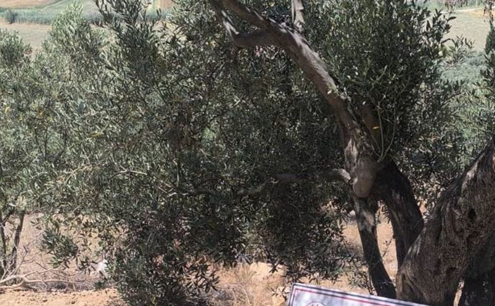 Kaçak kazı yapan 6 şüpheli suçüstü yakalandı