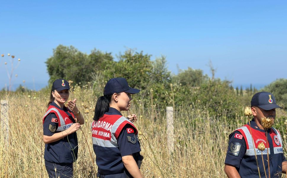 'Tülüşah' bitkisine zarar veren 557 bin lira ceza ödeyecek
