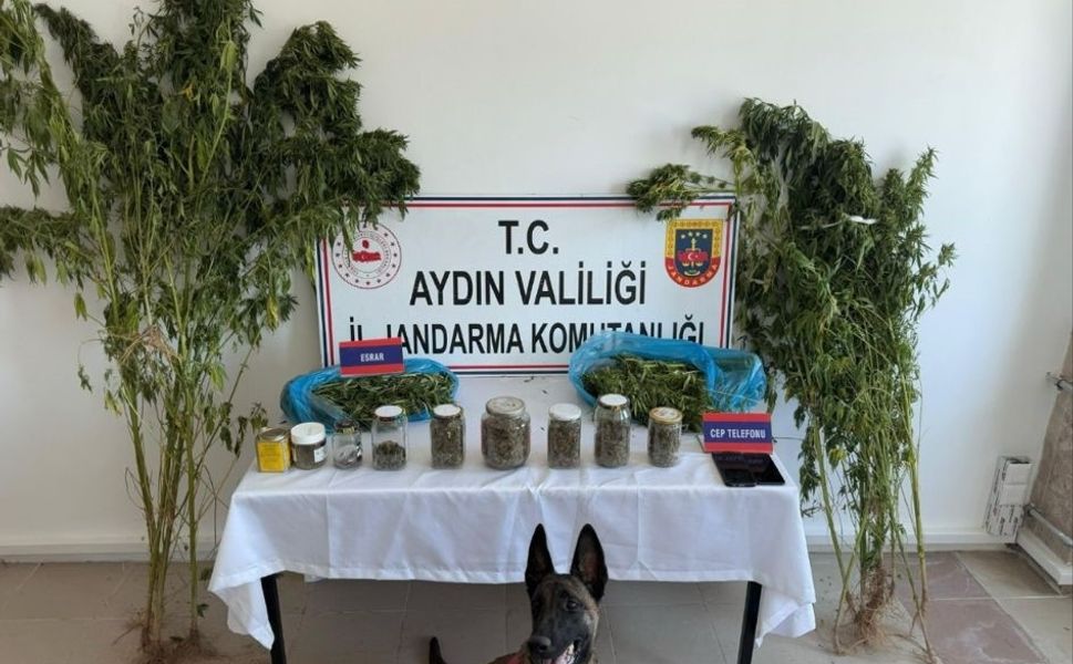 Aydın’da jandarmadan uyuşturucu operasyonu: 12 şüpheli yakalandı