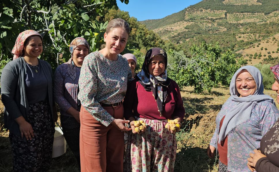 Nazilli Kaymakamı Kan incir hasadına katıldı
