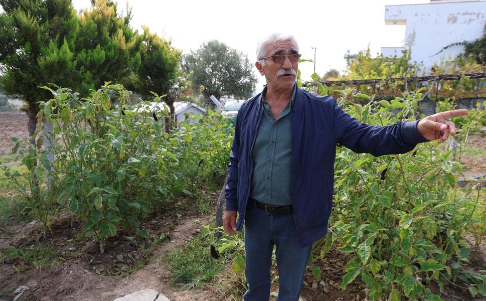 Keçileri ile tatil yapıyor