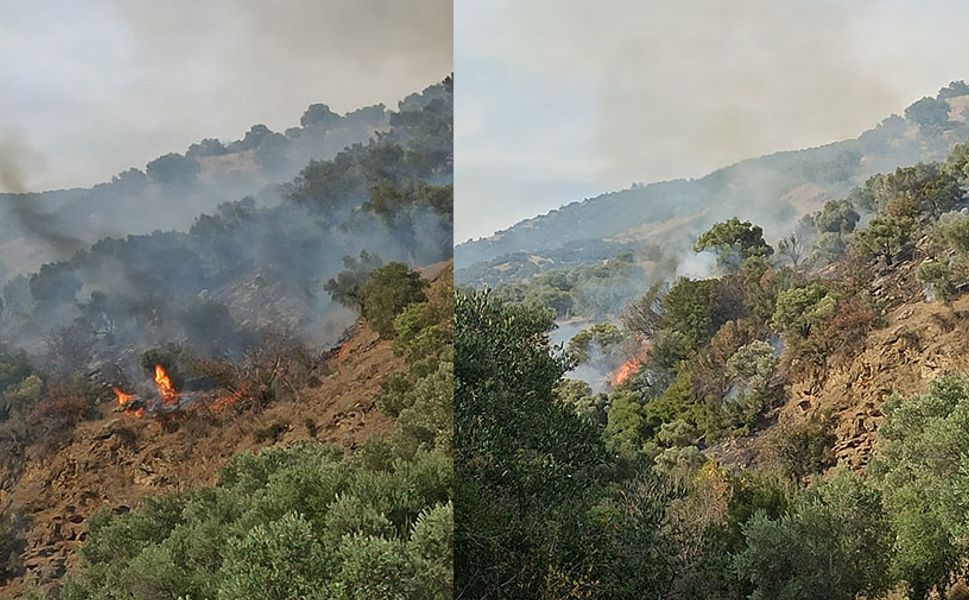 Bozdoğan'da orman yangını