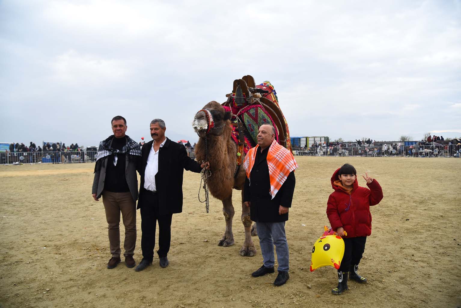 Aydın’da Pehlivan Develer Güreşti (11)