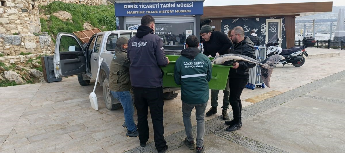 Aydın’da Ölü Halde Kayalıklara Vurdu (4)