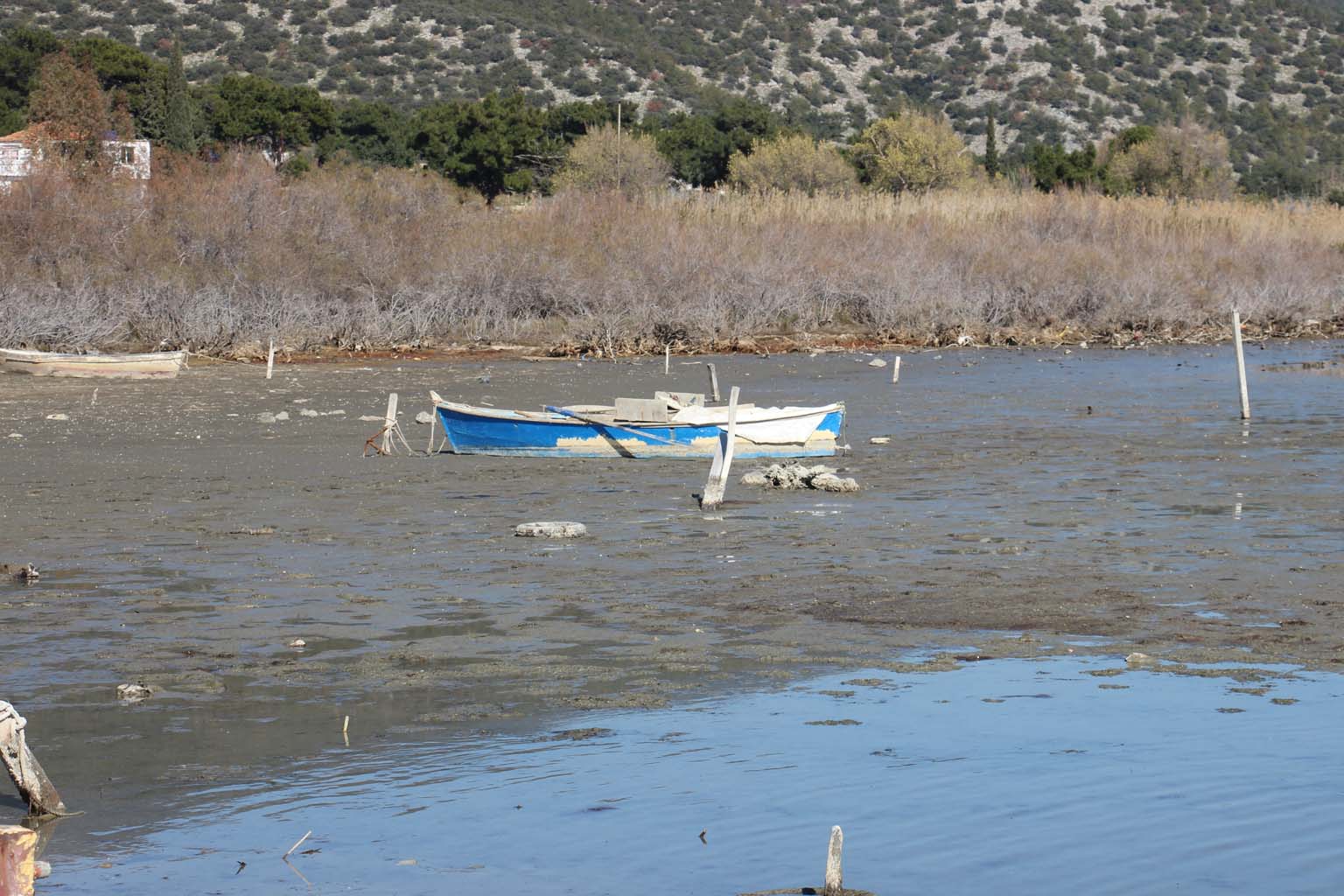 Aydın’da Deniz 30 Metre Çekildi (2)