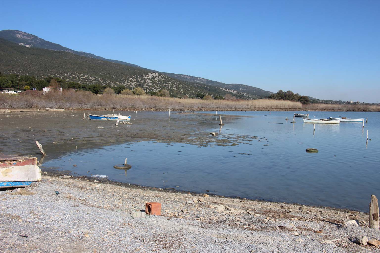 Aydın’da Deniz 30 Metre Çekildi (3)