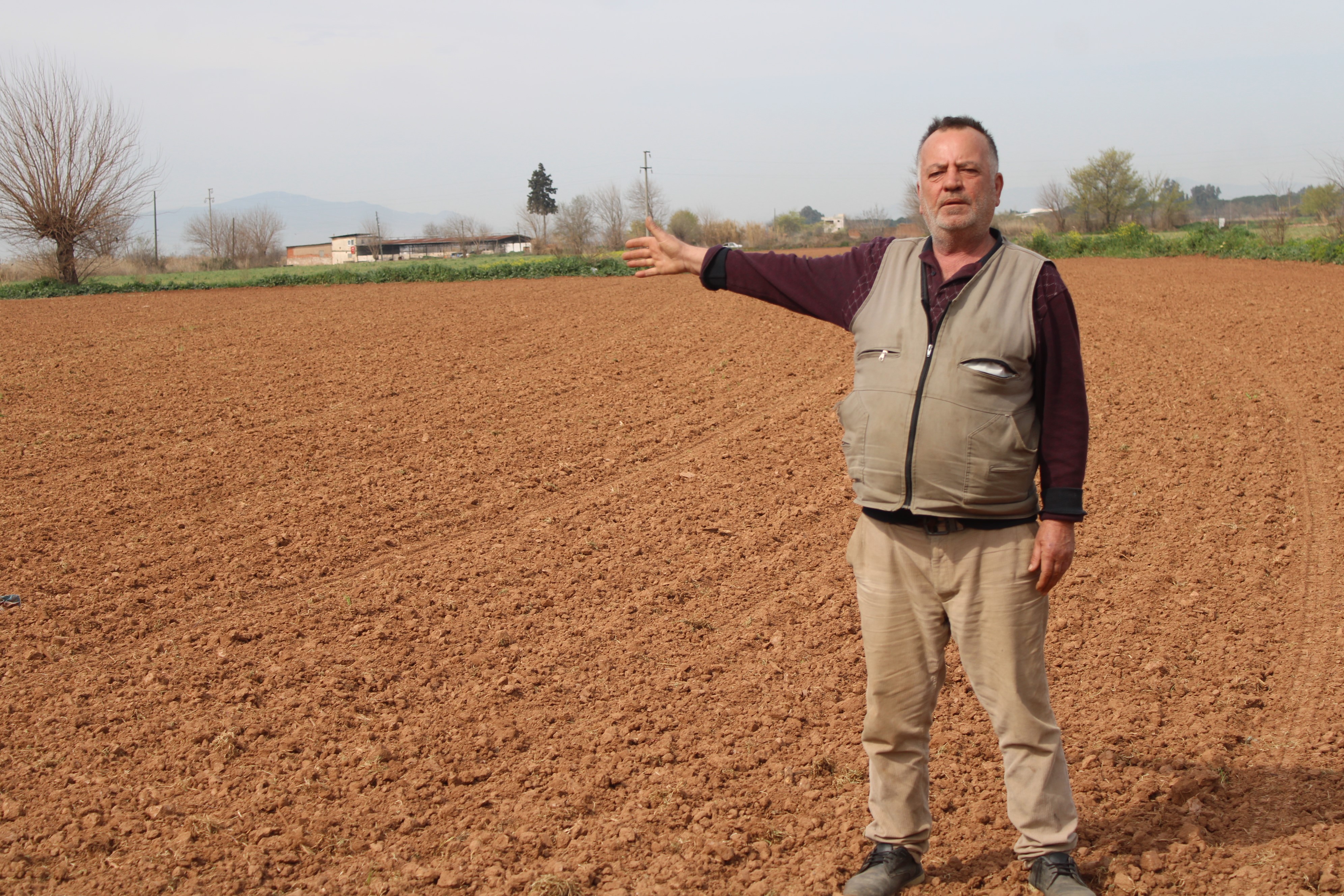 Aydın’da Yaşandı.. ‘Komşum Biçiyor, Ben Bakıyorum’ Diyerek Isyan Etti (2)