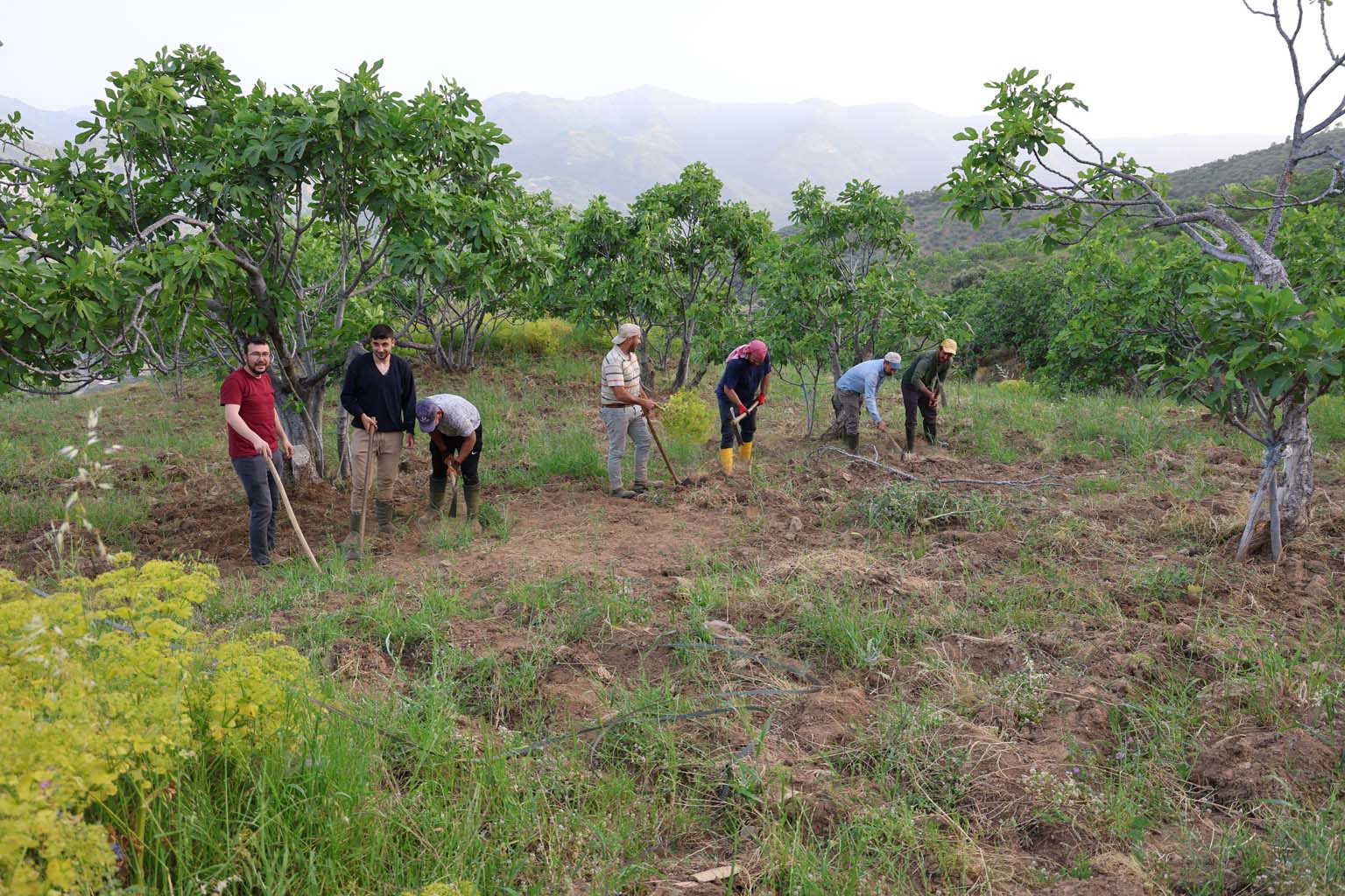 Aydın’da Üreticiler Sezon Hazırlığına Başladı (2)
