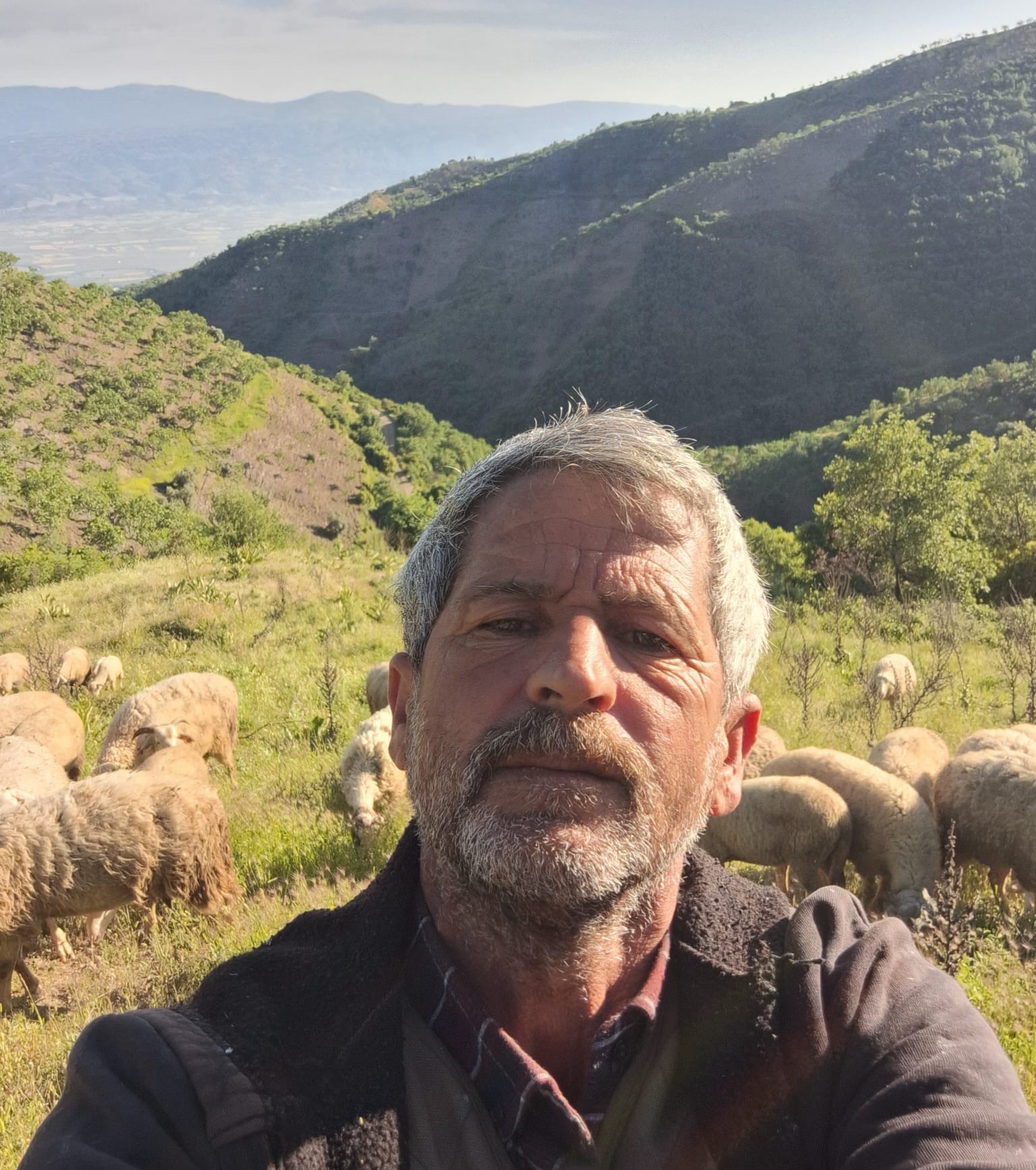 Aydın’da Yayla Yolculuğu Başladı
