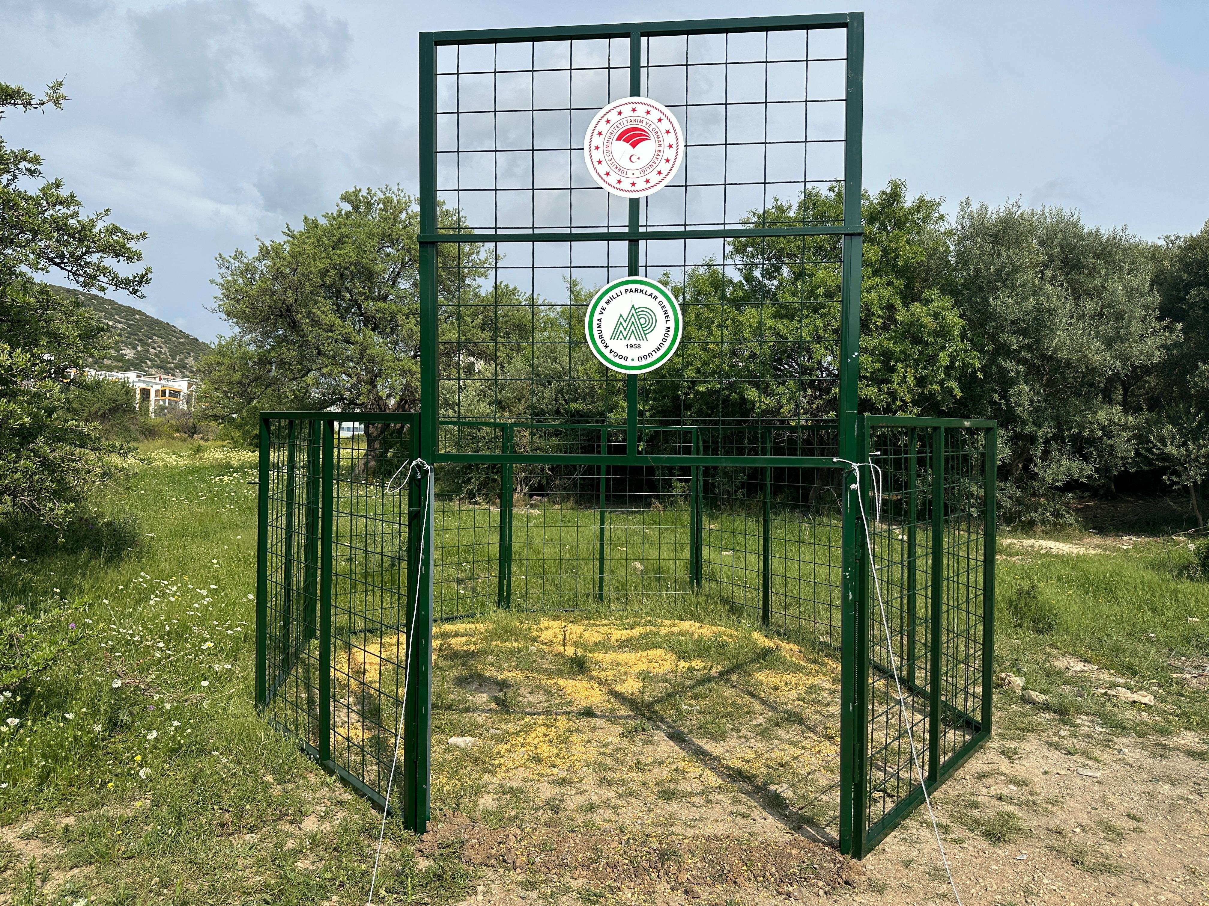 Aydın’daki Yaban Domuzu Sorununda Yeni Dönem